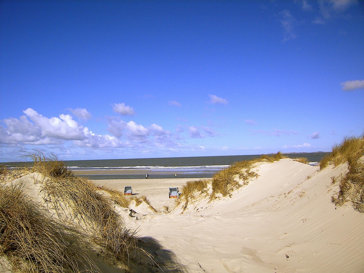 Plaża w pełnym słońcu